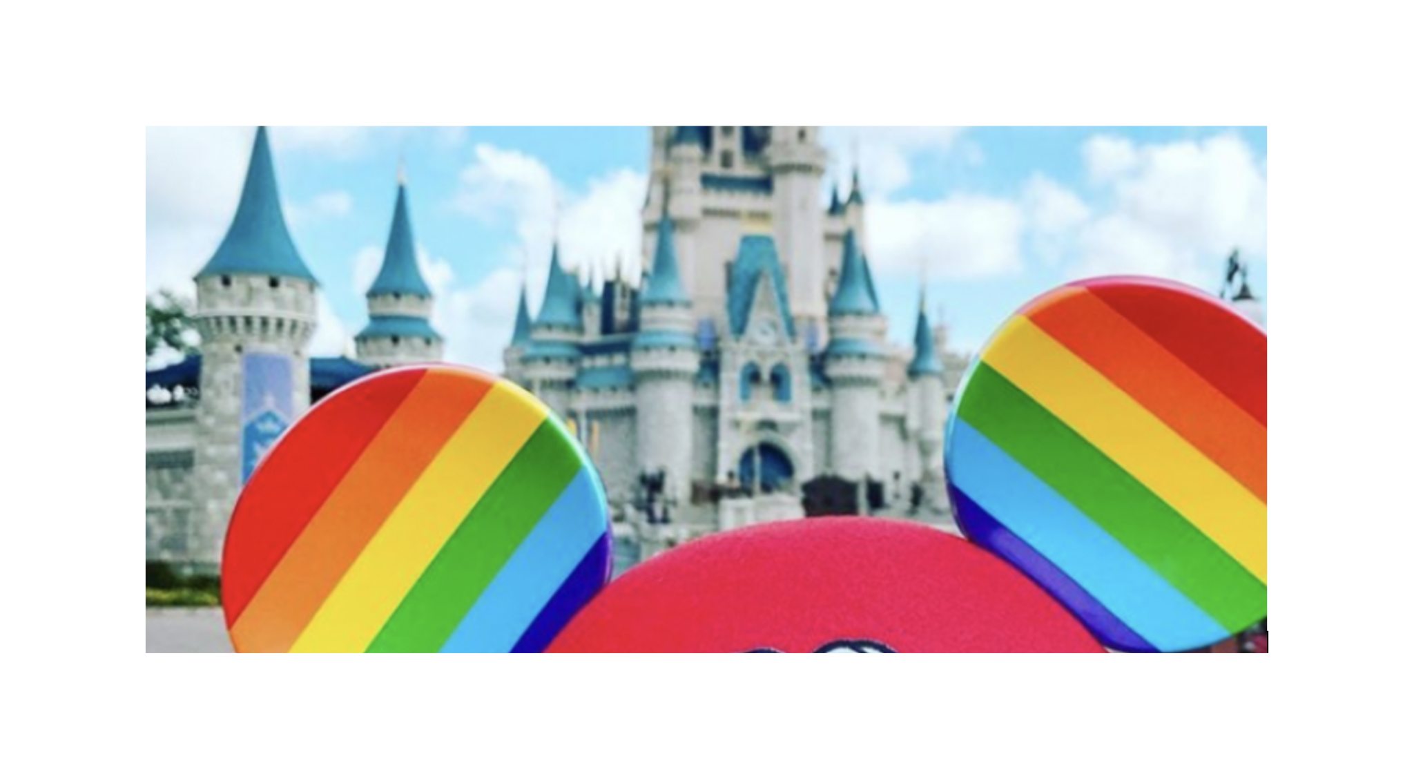 الصورة الرئيسية لحملة AHF Rallies Disney in Orlando and Burbank: معارضة شعار "لا تقل مثلي الجنس!"