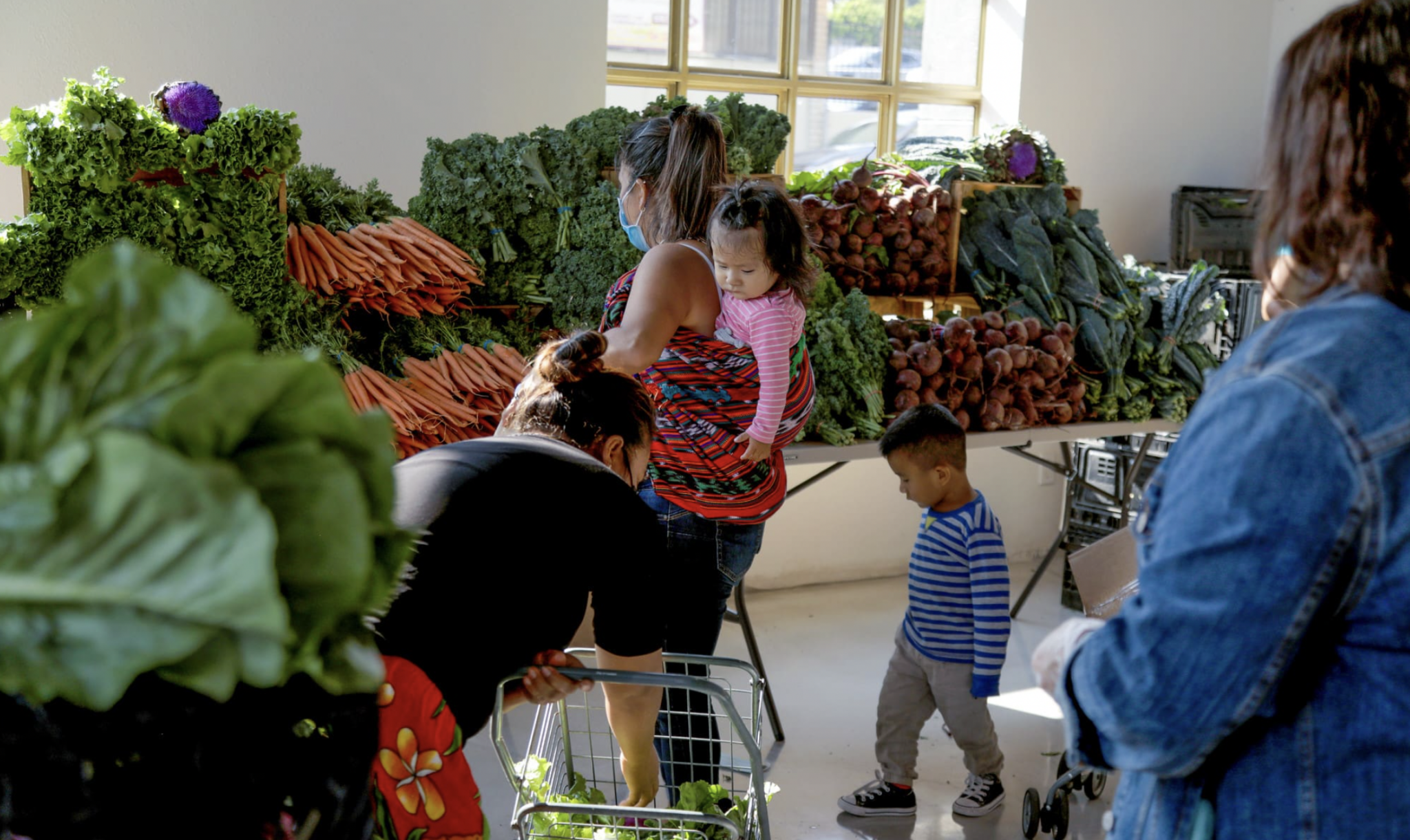 Hình ảnh nổi bật cho sự kiện Iris House tổ chức chương trình Fresh Market Food Bank vào ngày 15 tháng 12 tại New Jersey.